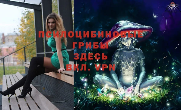 синтетический гашиш Алексин