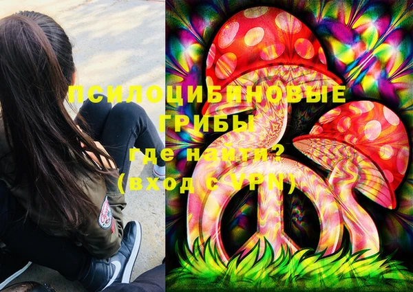 синтетический гашиш Алексин