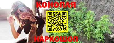 дурь Шелехов