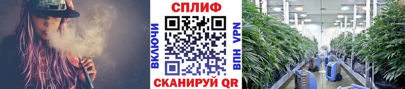 Бошки марихуана AK-47 Старая Купавна